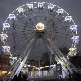 FERRIS WHEEL 25 MT bis amusement ride5