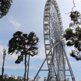 apollo-sidecar-ferris-wheel-554