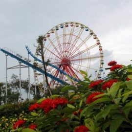 apollo-sidecar-ferris-wheel-555