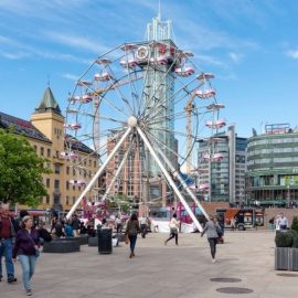 ferris-wheel-20-amusement-ride-sale5