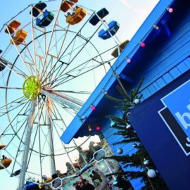 ferris-wheel-20-amusement-ride-sale7