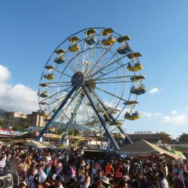 ferris wheel  20 amusement ride2
