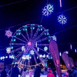 ferris-wheel-22-amusement-ride-sale1