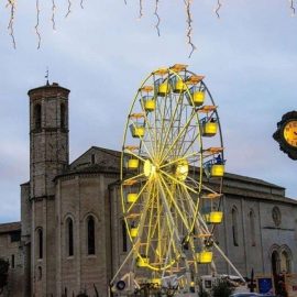 ferris-wheel-22-amusement-ride-sale2