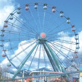 ferris wheel 34 mt amusement rides1