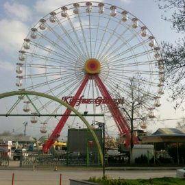 ferris wheel 40mt amusement rides3