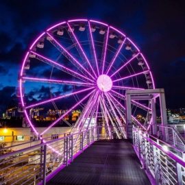 ferris-wheel-45-amusement-ride-sale2