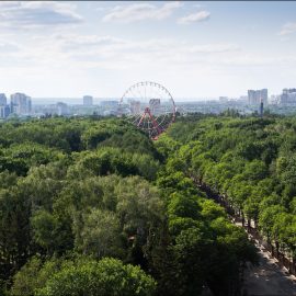 ferris wheel 55 mt amusement rides1