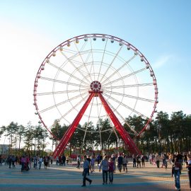 ferris wheel 55 mt amusement rides2