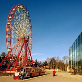 ferris wheel 55 mt amusement rides5