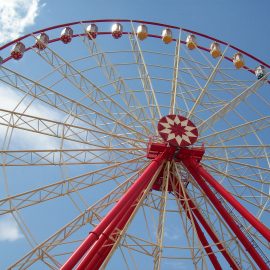 ferris wheel 55 mt amusement rides6