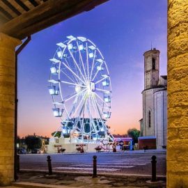 ferris-wheel-techical-park1