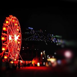 ferris-wheel-techical-park2