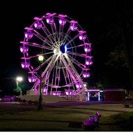 ferris-wheel-techical-park3