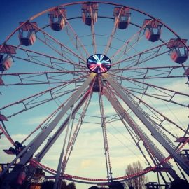 ferris-wheel-techical-park4