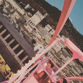 ferris-wheel-techical-park5
