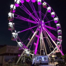technical park amusement ride ferris wheel 32 sale10