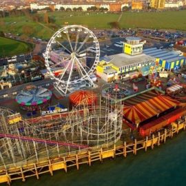 technical park amusement ride ferris wheel 32 sale6