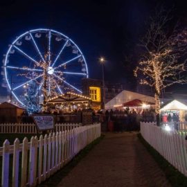 technical park amusement ride ferris wheel 32 sale9