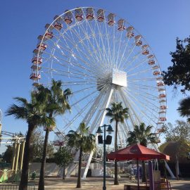 technical park amusement ride ferris wheel 40mt1