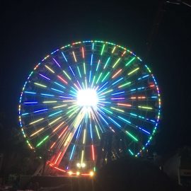 technical park amusement ride ferris wheel 40mt2