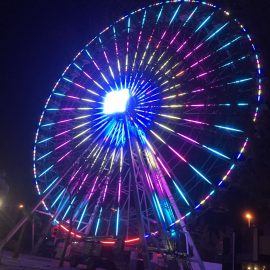 technical park amusement ride ferris wheel 40mt3