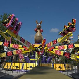 wildspark0