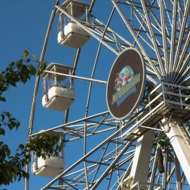 ferris wheel 35 40-technical-park-amusement-rides2