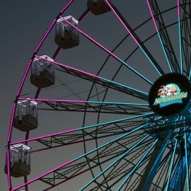 ferris wheel 35 40-technical-park-amusement-rides3