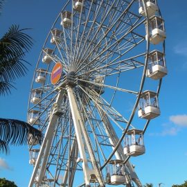 ferris wheel 35 40-technical-park-amusement-rides5