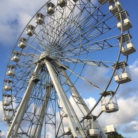 ferris wheel 35 40-technical-park-amusement-rides7