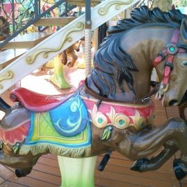 technical-park-amusement-rides-Merry Go Double Decker (14)