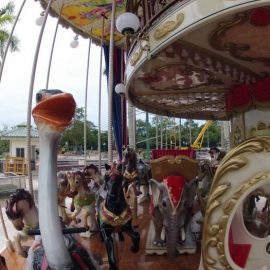 technical-park-amusement-rides-Merry Go Double Decker (2)