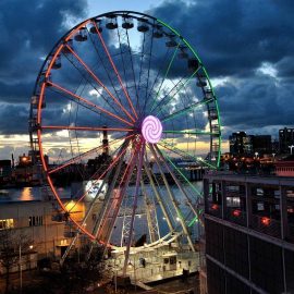 tpark-amusement-ride-ferris-wheel-452