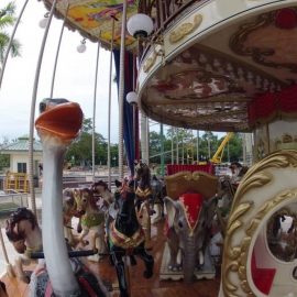 Merry Go Double Decker (2)