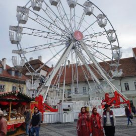 ferris-wheel-22-mt-new-road-model-tpark3