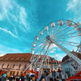 ferris-wheel-22-mt-new-road-model-tpark4