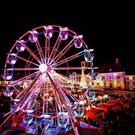 ferris-wheel-22-mt-new-road-model-tpark7