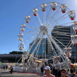 ferris-wheel-22-mt-new-road-model-tpark8