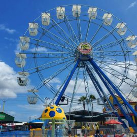 technicalpark-ferris-wheel-30-gallery-2