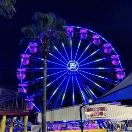 technicalpark-ferris-wheel-30-gallery-7