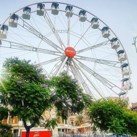 Technical-park-ferris-wheel-2a