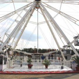 Technical-park-ferris-wheel-3213FW32newgond0