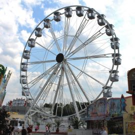 Technical-park-ferris-wheel-3214FW32newgond1