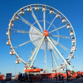 Technical-park-ferris-wheel-6a