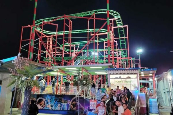 mouse-tpark13