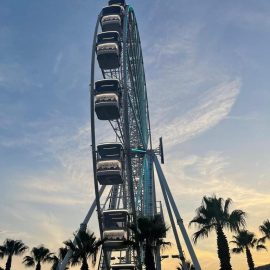 ferris-wheel36-gondola-technical-park1