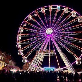 ferris-wheel36-gondola-technical-park12