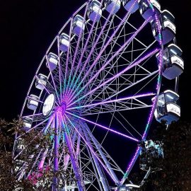 ferris-wheel36-gondola-technical-park3