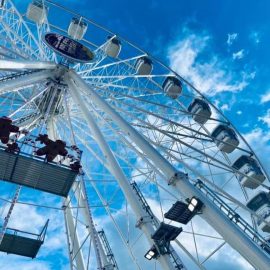 ferris-wheel36-gondola-technical-park4